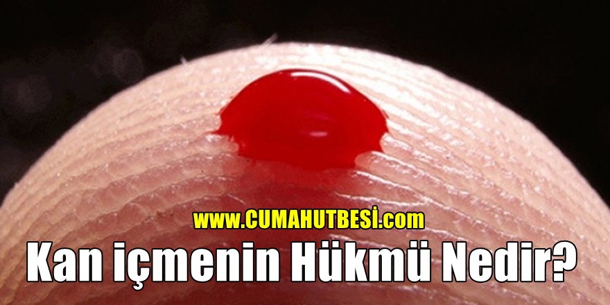 Kan içmenin Hükmü Nedir?