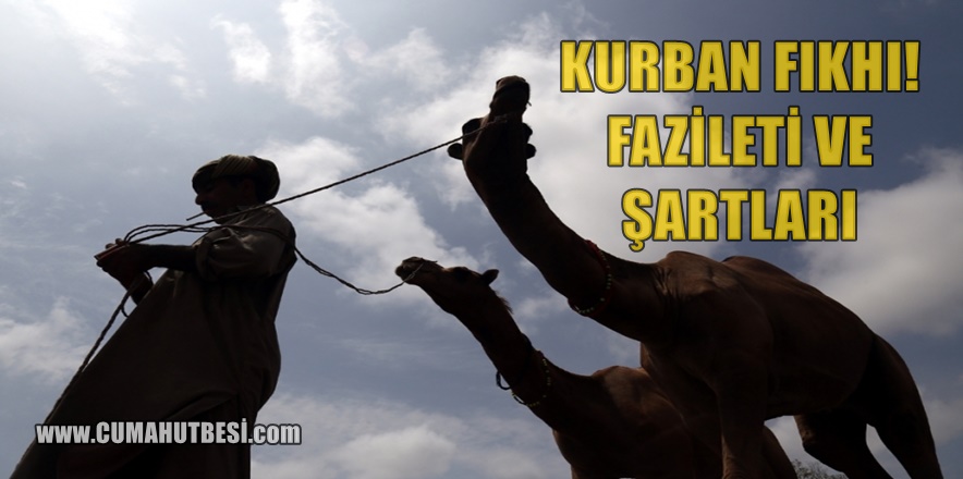 İslam’da Kurban İbadeti: Kurban Fıkhı Fazileti ve Hükmü