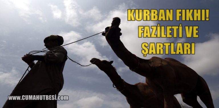 İslam’da Kurban İbadeti: Kurban Fıkhı Fazileti ve Hükmü